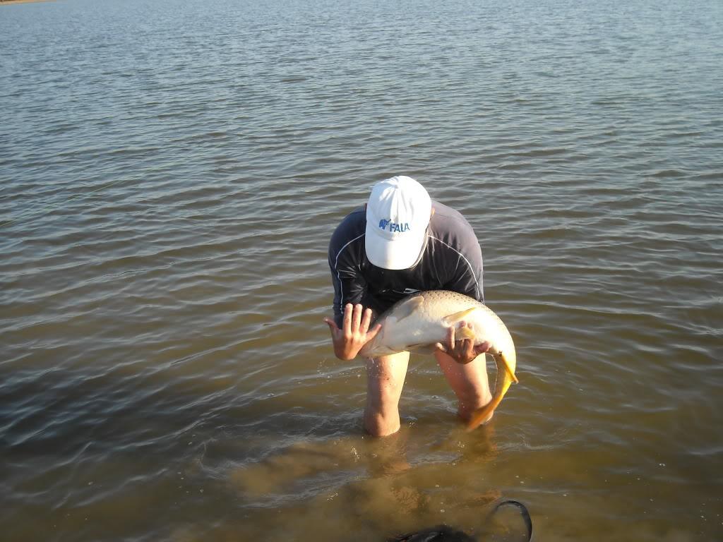 Party Cup - Hobaia 2010 - partycuphobaia201090.jpg